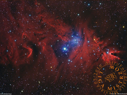 NGC2264-Christmas Tree