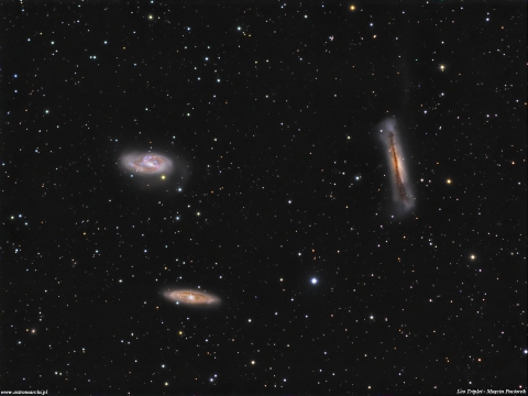 Leo Triplett - M65, M66, NGC3628