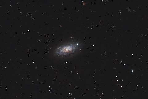 M63-Sunflower Galaxy