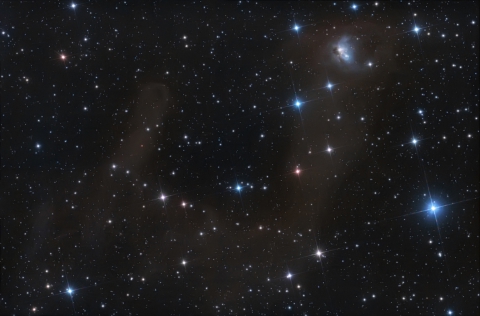 NGC 1788 Fox face nebula