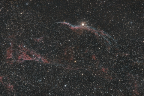 NGC 6960 Sturmvogel - Veil